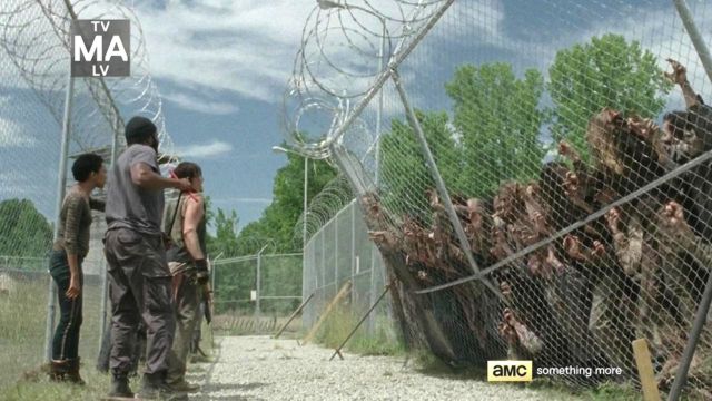 walkers at fence close